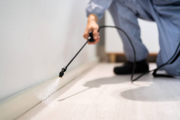 Rodent Entry Point Assessment in White Bluff
