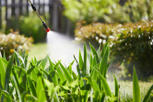 Tamper-Resistant Bait Stations for Rodents in White Bluff