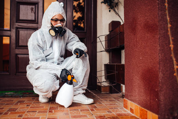 Attic and Crawl Space Rodent Treatment in White Bluff