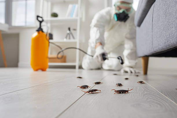 Commercial Rodent Management in White Bluff